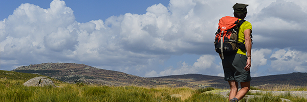 © Languedoc Nature / Mont Lozère