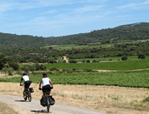 DR Languedoc Nature - Vignoble du Cabardès DR Languedoc Nature - Vignoble du Cabardès