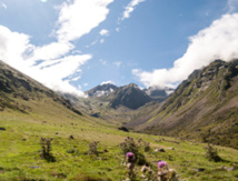 DR LaRébenne DR LaRébenne