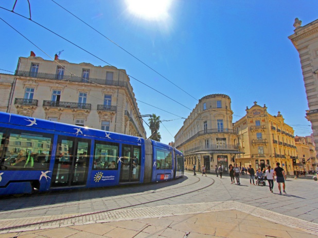 Les fameux tramways de  Montpellier, de véritables oeuvres d'art roulantes. C. Deschamps. CRT Occitanie.