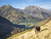 Val d'Azun / DR Pierre Meyer