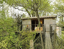 ADT-82 Cabane Céleste / Cabane située à 8 m du sol ADT-82 Cabane Céleste / Cabane située à 8 m du sol