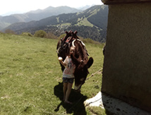 DR Concept Séjours / Randonnée âne DR Concept Séjours / Randonnée âne