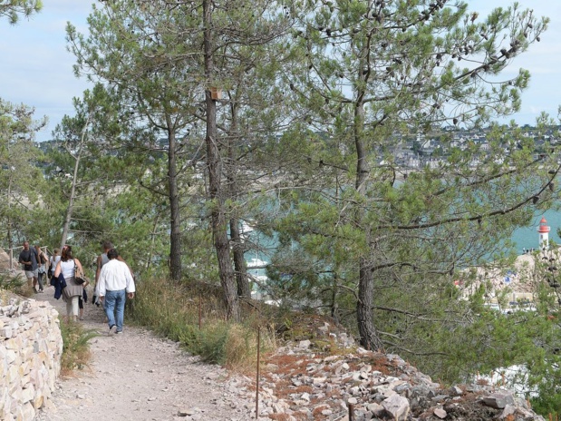 Balade à Erquy, sentier des Carriers. Bruno Torrubia.CRT Bretagne. Balade à Erquy, sentier des Carriers. Bruno Torrubia.CRT Bretagne.