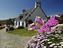 C. Migeon – île de Batz C. Migeon – île de Batz