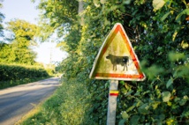 Aveyron : Arvieu, un village d'où personne n’a envie de repartir ! Aveyron : Arvieu, un village d'où personne n’a envie de repartir !