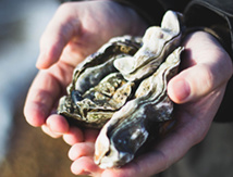 © BERTHIER Emmanuel © BERTHIER Emmanuel