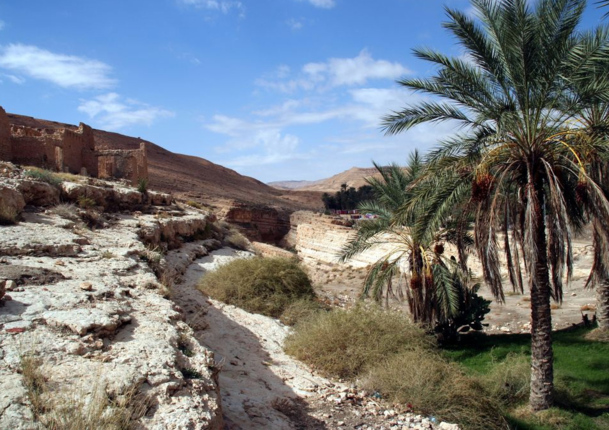 « En 2011 le marché français, notre premier marché émetteur européen est celui qui a le plus chuté de tous les pays européens » confirme  Habib Ammar, directeur général du tourisme tunisien / Photo Tozeur JdL