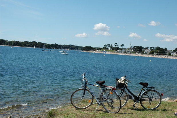 Idéalement situé, le domaine offre la possibilité de parcourir les bords de Loire à Vélo