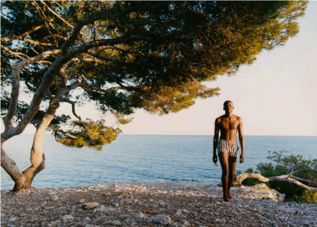 Les photos de David Luraschi seront mises en scène dans les vitrines du boulevard Haussmann- DR Les photos de David Luraschi seront mises en scène dans les vitrines du boulevard Haussmann- DR