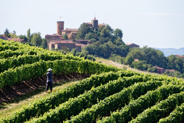 Village de Beaujolais - DR : P.Muradia, CRT Auvergne Rhône Alpes