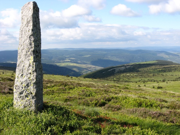 Dans le massif du Mont Lozère, on est comme plongé hors du temps - DR : Languedoc Nature