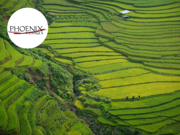 Phoenix Voyages, Réceptif Vietnam Phoenix Voyages, Réceptif Vietnam