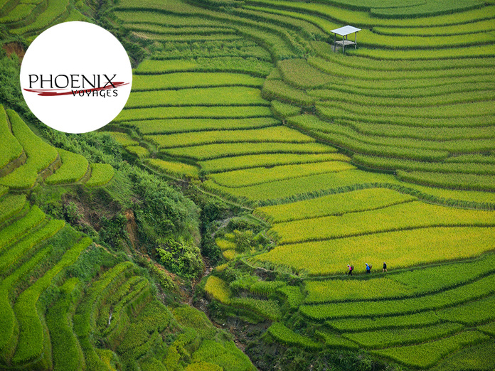 Phoenix Voyages, Réceptif Vietnam Phoenix Voyages, Réceptif Vietnam