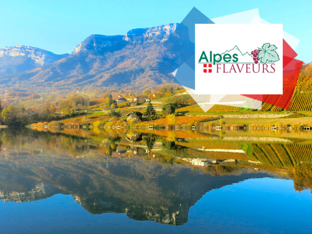 Le lac Saint André et les vignobles au pied du mont Granier (Parc naturel de Chartreuse - Savoie) - DR Bernard Vissoud Alpes Flaveurs