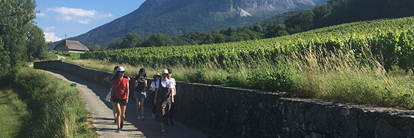 Vignoble Vineyard à Chambery - DR Bernard Vissoud Alpes Flaveurs