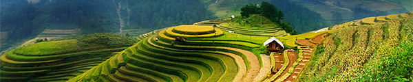 Shanti Travel, Réceptif Vietnam Shanti Travel, Réceptif Vietnam