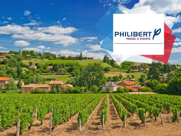 Vignoble Beaujolais - DR Andreas G. Karelias Vignoble Beaujolais - DR Andreas G. Karelias