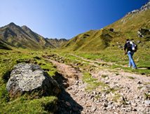 DR Calzada - Fotolia.com DR Calzada - Fotolia.com