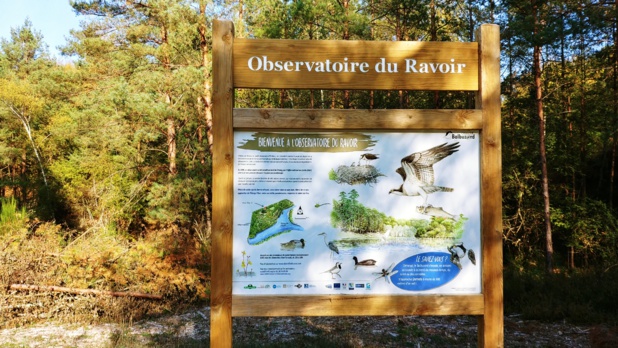 Panneau d'observation à l’observatoire du Ravoir en forêt d'Orléans - DR : S.Sevran, CRT Centre-Val de Loire Panneau d'observation à l’observatoire du Ravoir en forêt d'Orléans - DR : S.Sevran, CRT Centre-Val de Loire