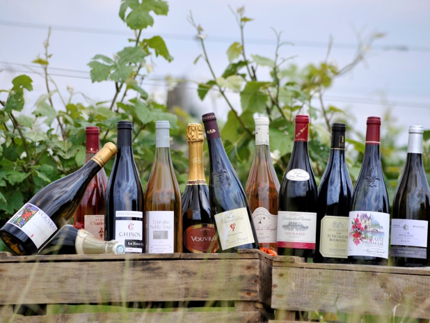 Vin de Touraine - DR : Martrou Thierry, CRT Centre-Val de Loire Vin de Touraine - DR : Martrou Thierry, CRT Centre-Val de Loire