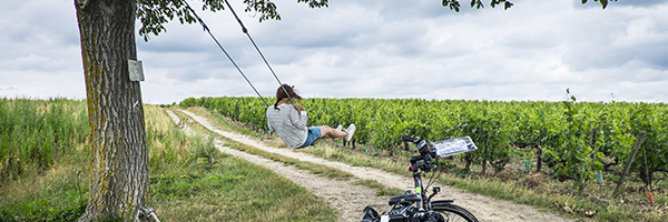 ©Sylvain Brajeul ©Sylvain Brajeul