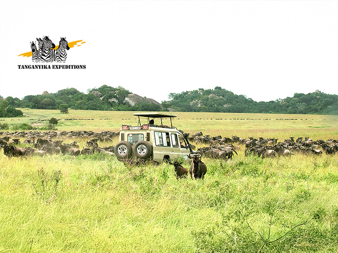 © Tanganyika Expeditions © Tanganyika Expeditions