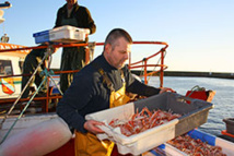 Retour de pêche au Guilvinec © Marie-Julie Gouniot