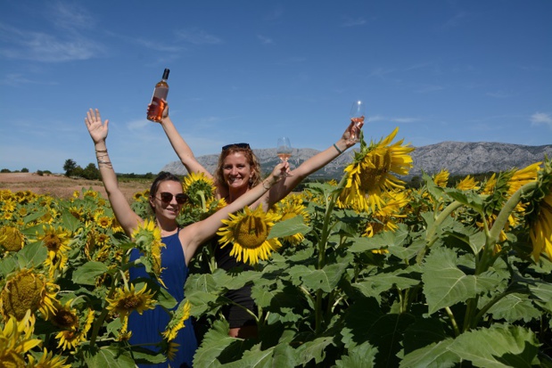 L'équipe de Vignévasion - DR : Vignévasion L'équipe de Vignévasion - DR : Vignévasion