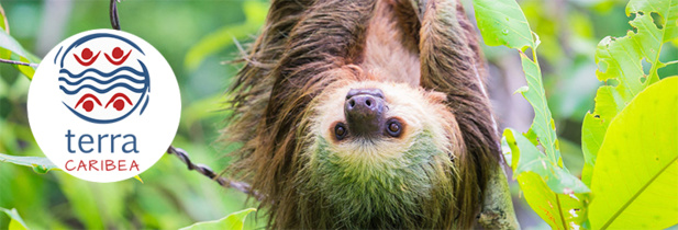 © Terra Caribea © Terra Caribea