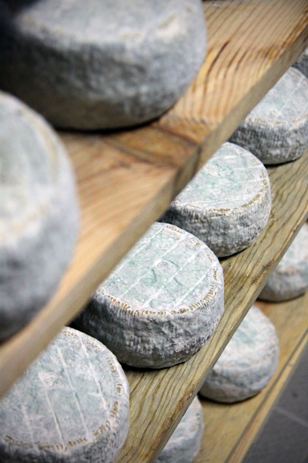 De chèvre ou de brebis, des fromages AOC. S. Alessandri. De chèvre ou de brebis, des fromages AOC. S. Alessandri.