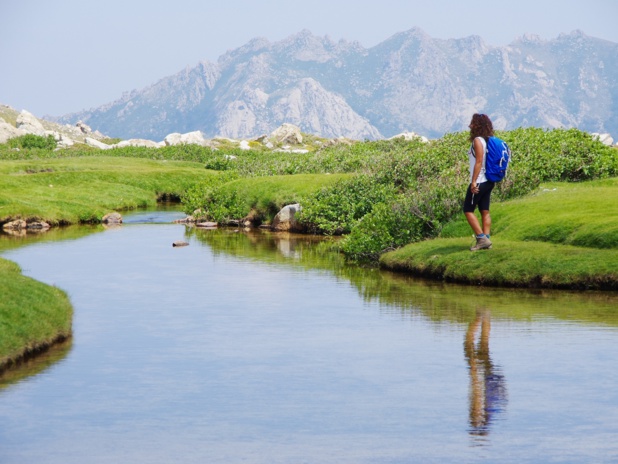 Un parc naturel qui recouvre près de 40 % de l'"Ile verte". Alex Zappa. Un parc naturel qui recouvre près de 40 % de l'"Ile verte". Alex Zappa.
