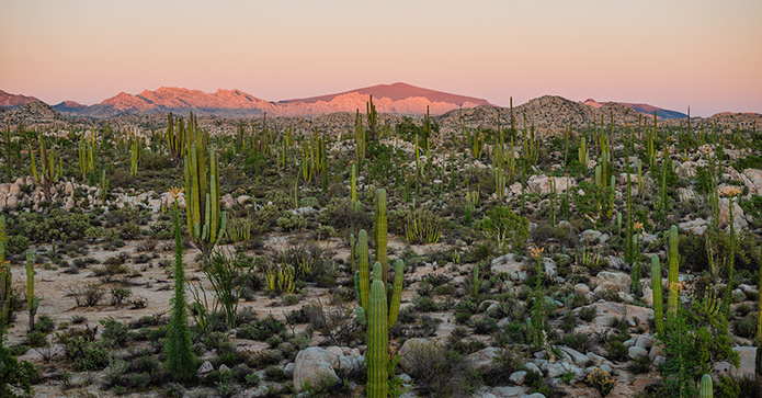 © Adobe - Basse Californie