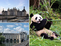 Pass pour les châteaux de Chambord et Chenonceau et le Zoo de Beauval