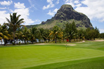 DR : Grey Hutton DR : Grey Hutton