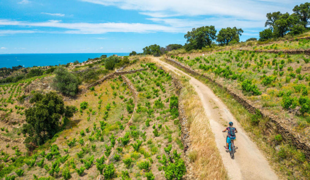 Caractérisée par ses sentiers calmes au dénivelé faible, la Vélittorale permet aussi de rejoindre les criques naturelles situées entre la plage du Racou et le village voisin de Collioure. /crédit DR