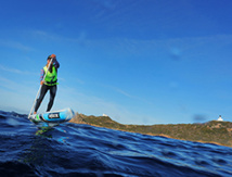 DR Paddle Trophy