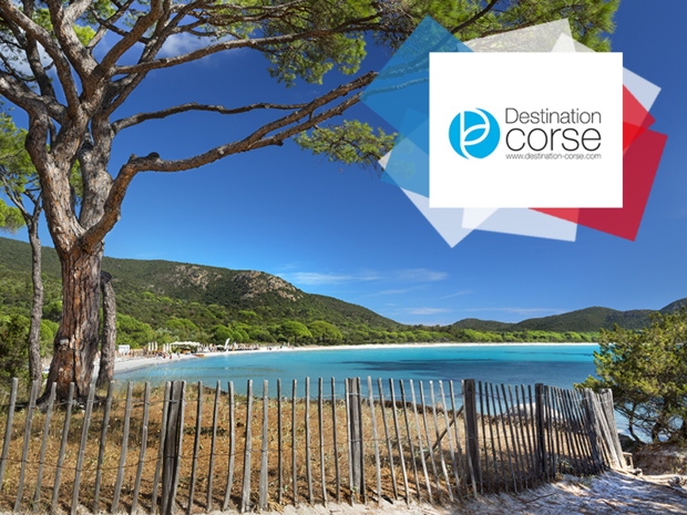 Copyright Fotolia / Palombaggia Copyright Fotolia / Palombaggia