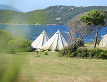 ©CORSE INCENTIVE