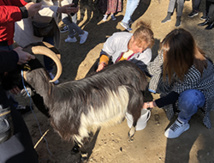 Rencontre de la Bergère / Copyright 2020 Cors’Alpha