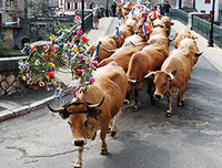 © Adobe Stock © Adobe Stock