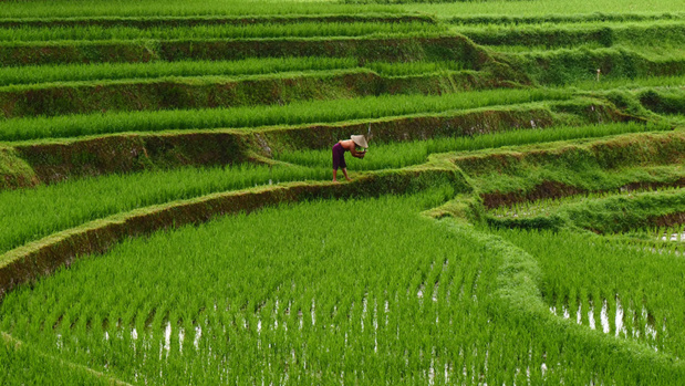 L'Asie en version originale avec Shanti Travel L'Asie en version originale avec Shanti Travel