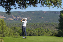 Copyright : Honnorat.T Copyright : Honnorat.T