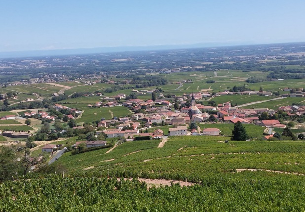 Le Beaujolais est vraiment une région viticole à part entière, avec un charme encore différent - DR : Laurent Pinon