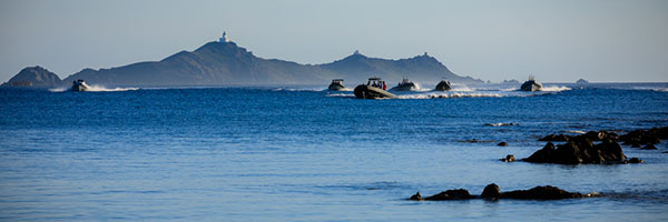 Semi-rigides aux Îles Sanguinaires, Ajaccio - DR Gilles Perez