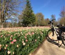 Cheverny Voyages produit intégralement ses séjours, avec ses propres vélos - DR : Cheverny Voyages