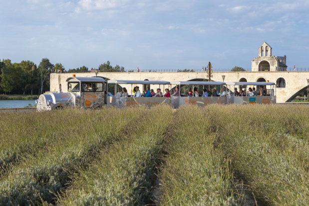 Visite Avignon propose des services de transport haut de gamme, mais aussi des circuits de visite touristique à bord de ses petits trains - DR : Visite Avignon