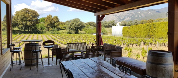 Dans la région d’Ajaccio, le domaine viticole de Laurent, 10 hectares de terres granitiques en vinification BIO. Les cépages sont corses (Sciaccarello, Nielluccio…) et notre hôte est intarissable sur son travail et la vigne corse - DR : Corsica Incoming