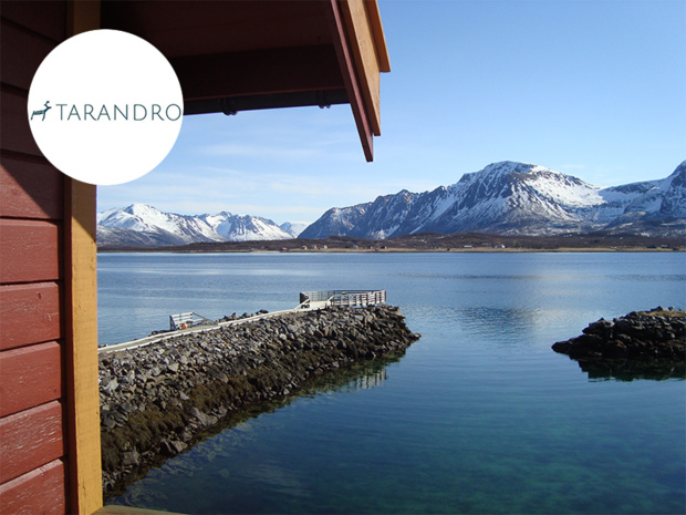 © Tarandro © Tarandro