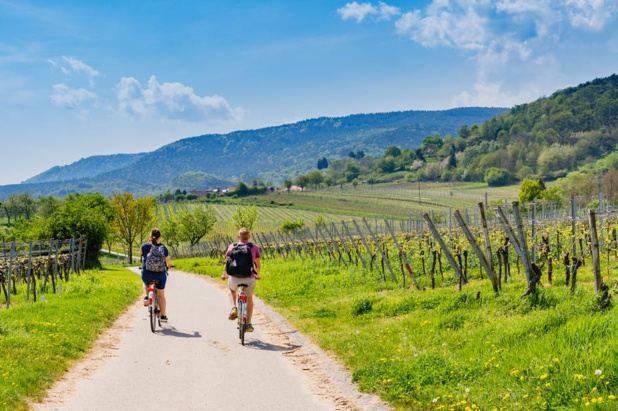 Pas besoin de partir bien loin pour s’émerveiller. La France regorge de régions viticoles à explorer. nnattalli / Shutterstock